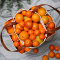 Load image into Gallery viewer, Heavy Canvas Tote Bag | Reusable Multi-Pocket Market Tote