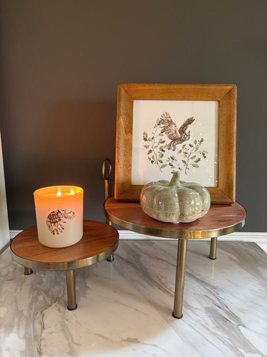 Woodland Owl - Candle & Framed Print Set