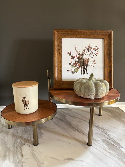 Woodland Elk - Candle & Framed Print Set