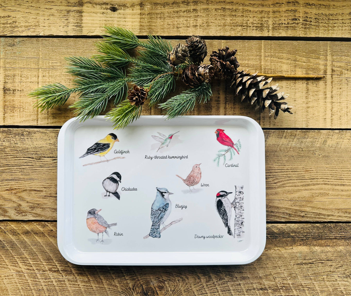 Backyard birds watercolor illustrated melamine serving tray